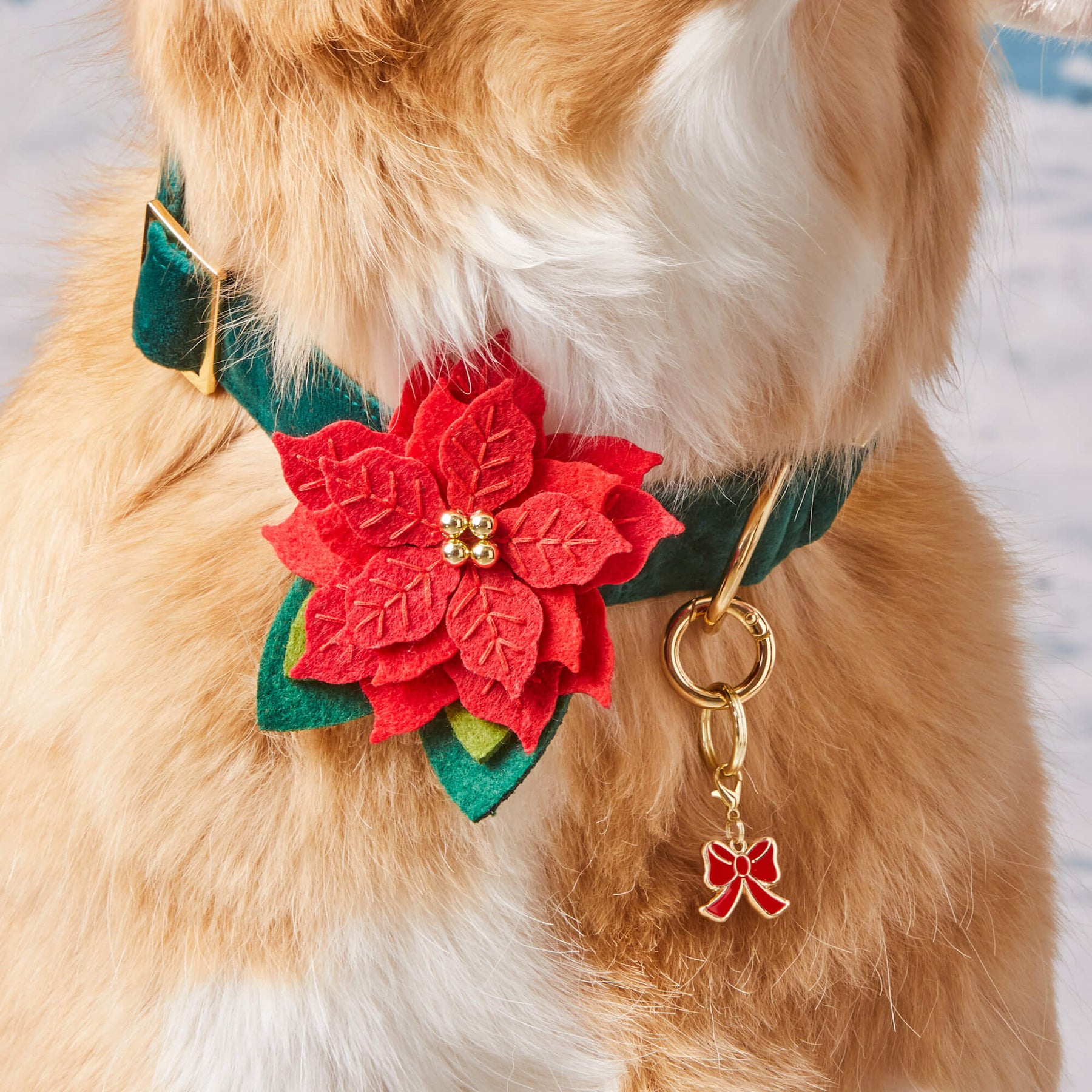 Poinsettia Flower For Dog Collar