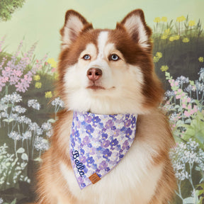 Bandana Dog Pressed Pansies