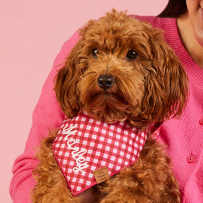 Bandana Raspberry Gingham