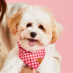 Bandana Raspberry Gingham