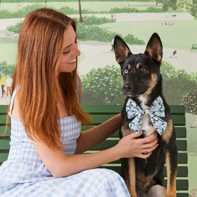 Lady Dog Bow Rifle Paper Co. X TFD Hydrangea