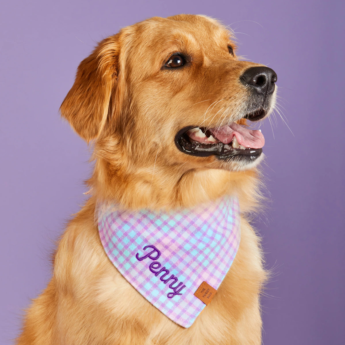 The Foggy Dog - Bandana Dog Sorbet Plaid Flannel