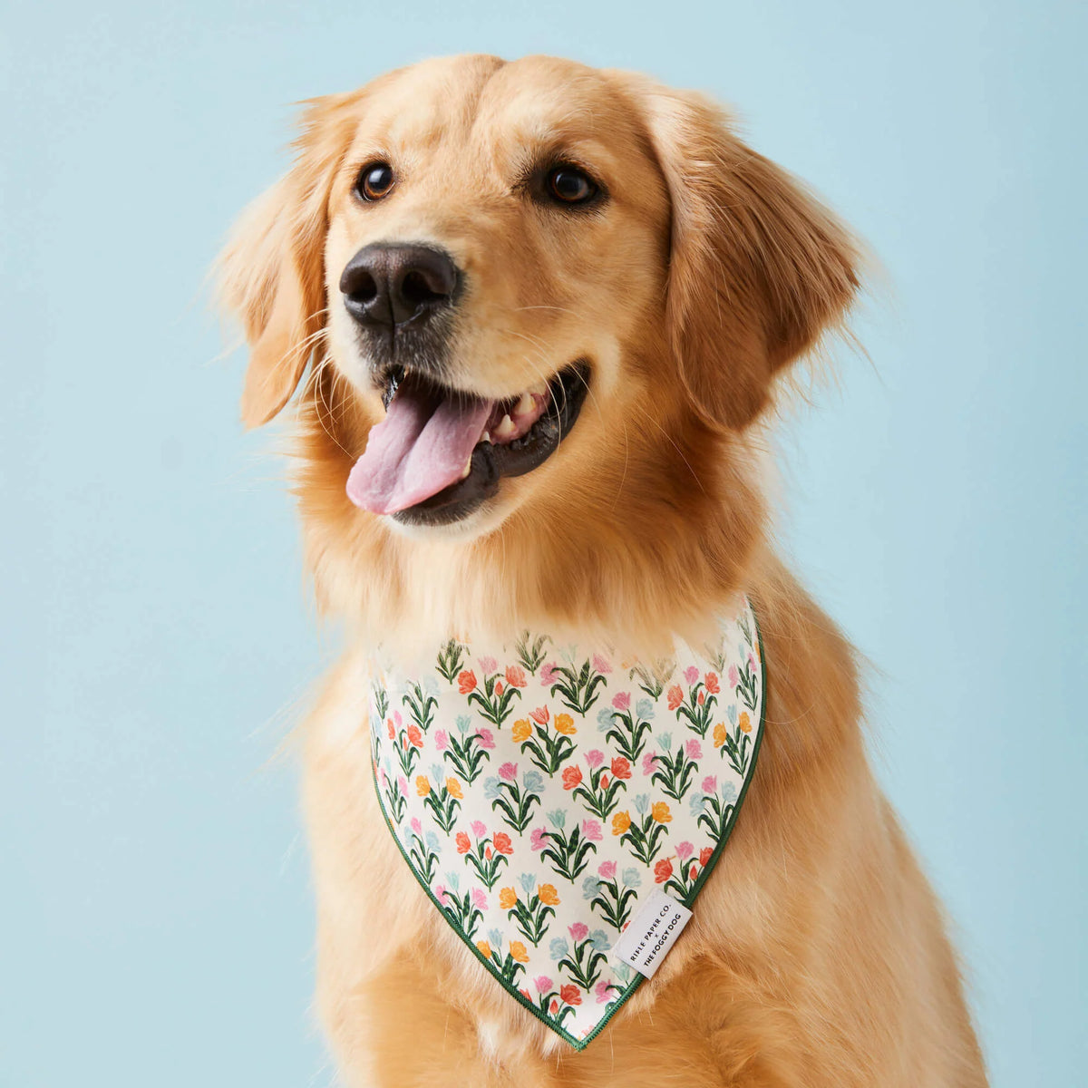 Bandana Dog Rifle Paper Co. x TFD Tulips Spring