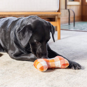 The Foggy Dog - Dog Toy Dog Bone Squeaky
