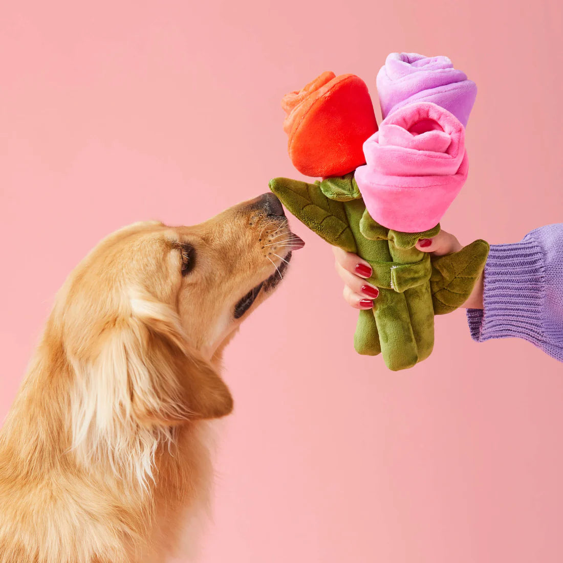 Dog Toy Bouquet of Roses