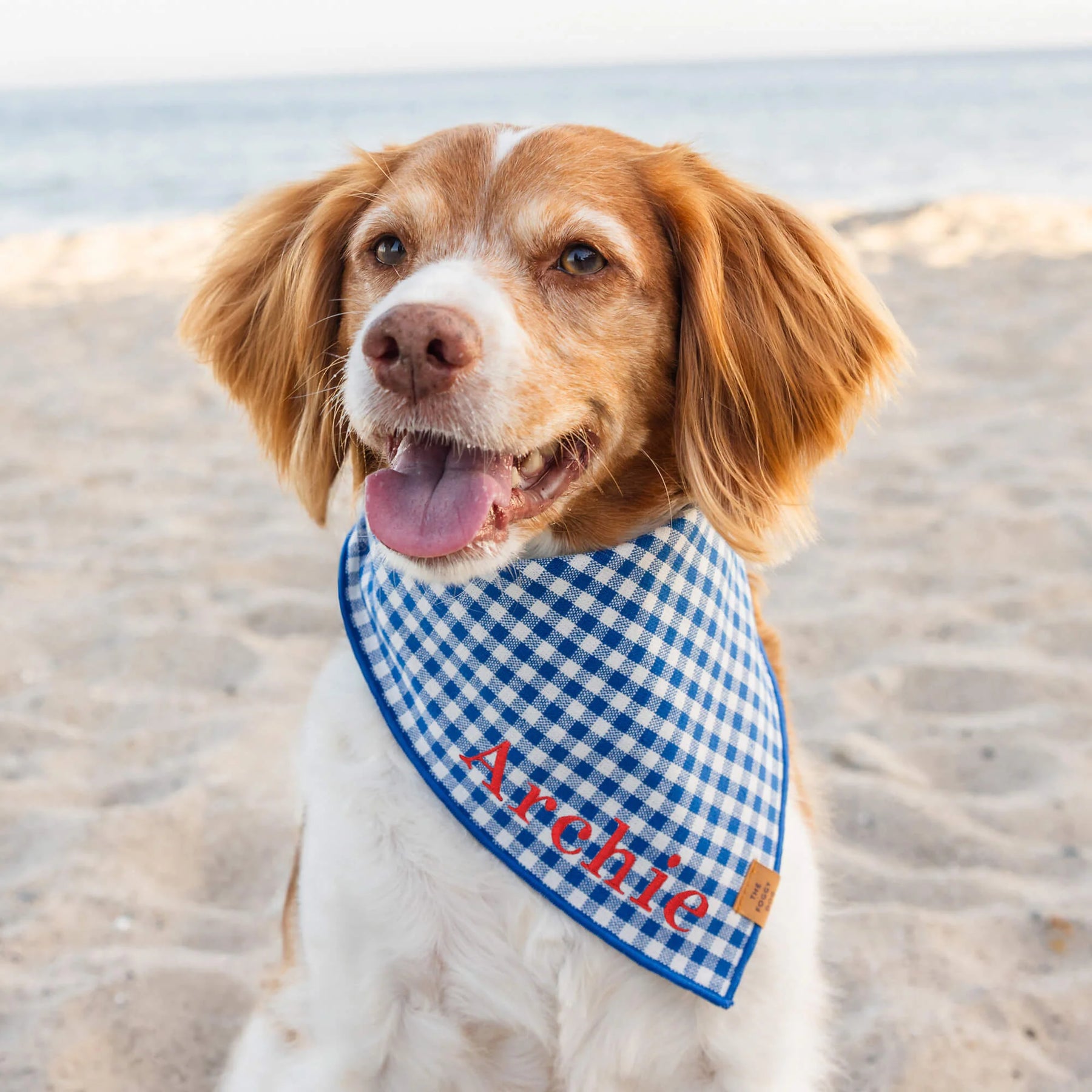 Bandana Lake Blue Gingham Summer