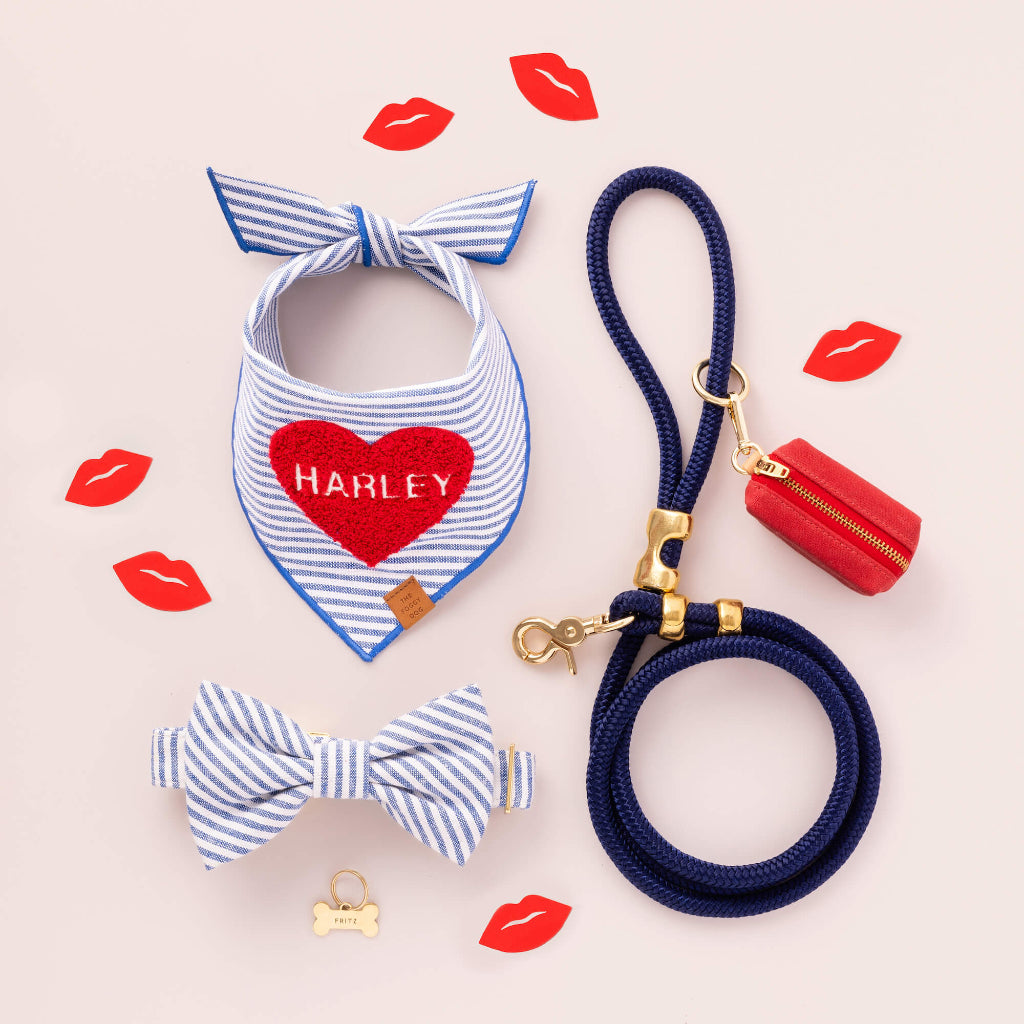 Foggy Dog - Dog Bow Tie Lake Blue Stripe