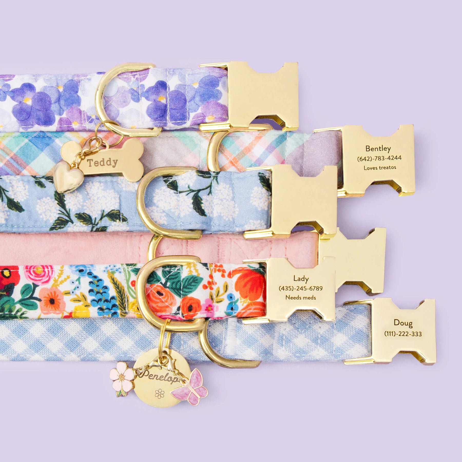 Dog Collar Sky Blue Gingham