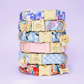 Dog Collar Sky Blue Gingham