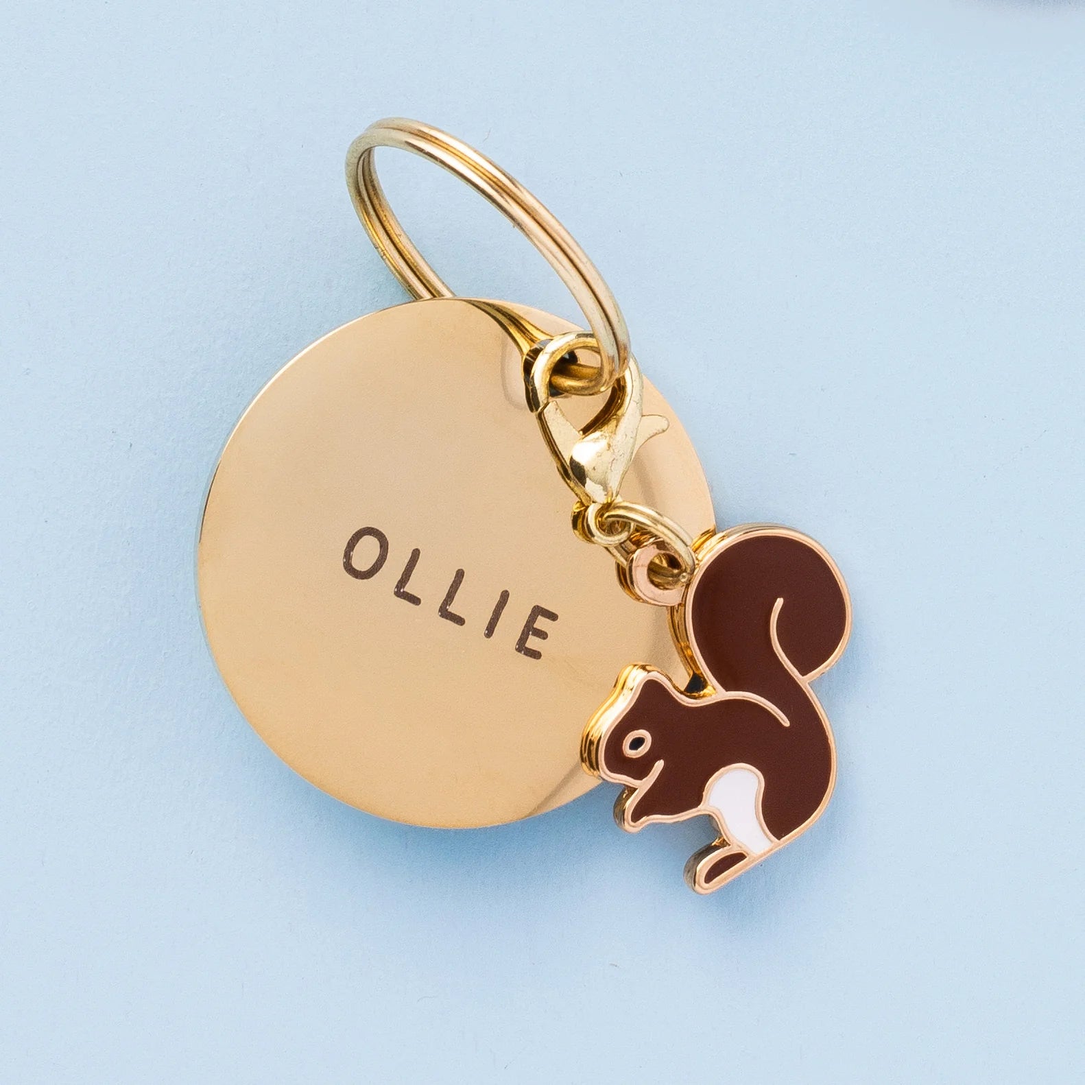 The Foggy Dog - Dog Charm Two Sided for Collar Brown Squirrel