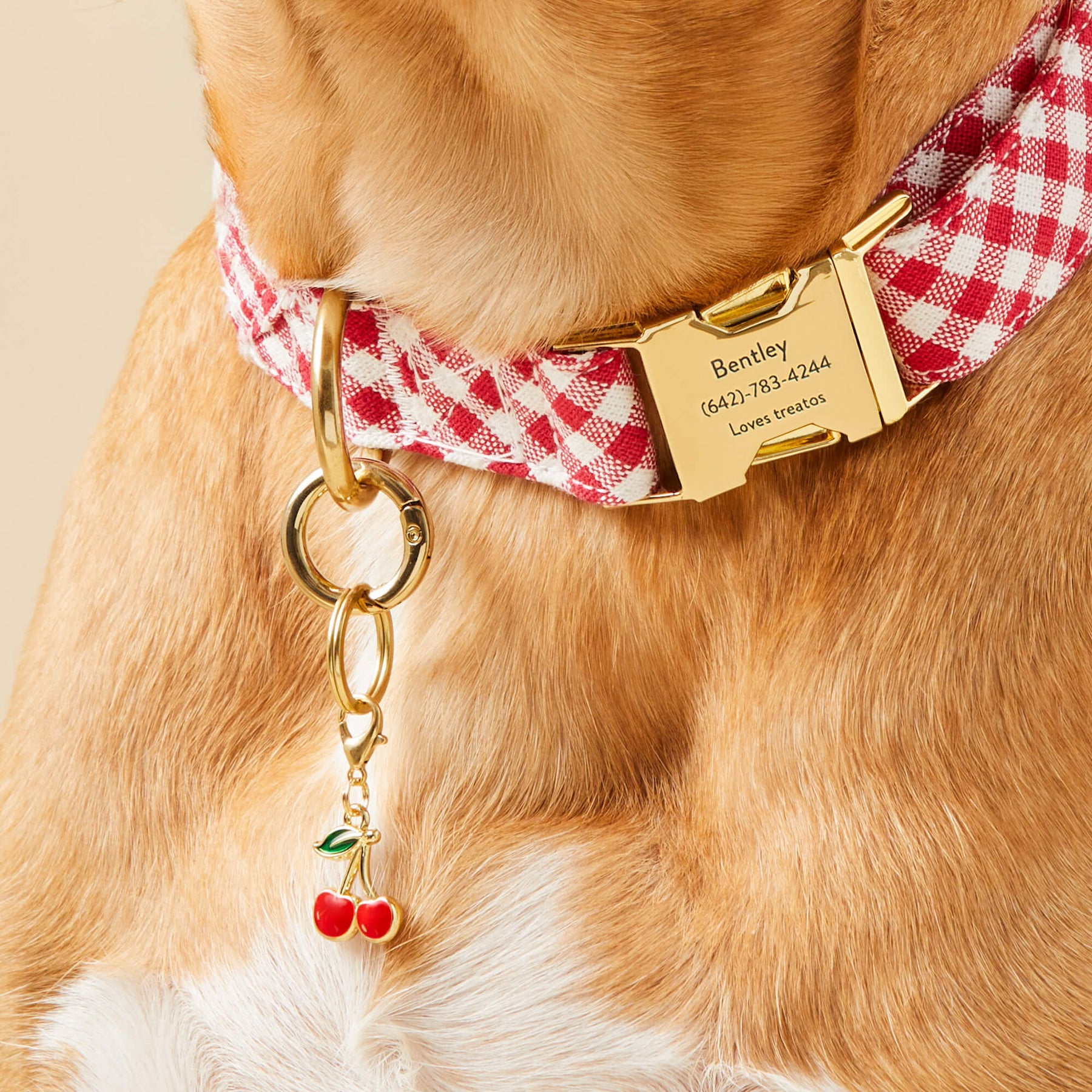 The Foggy Dog - Dog Charm Two Sided For Collar Cherries