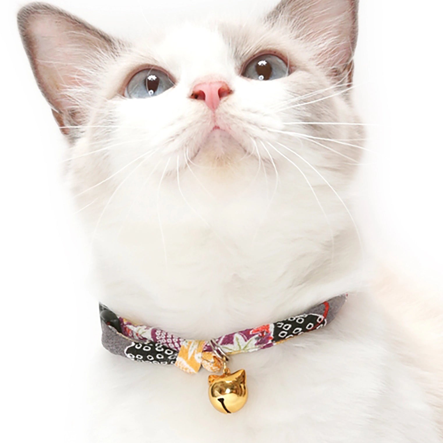 Cat Collar Chirimen Fireworks