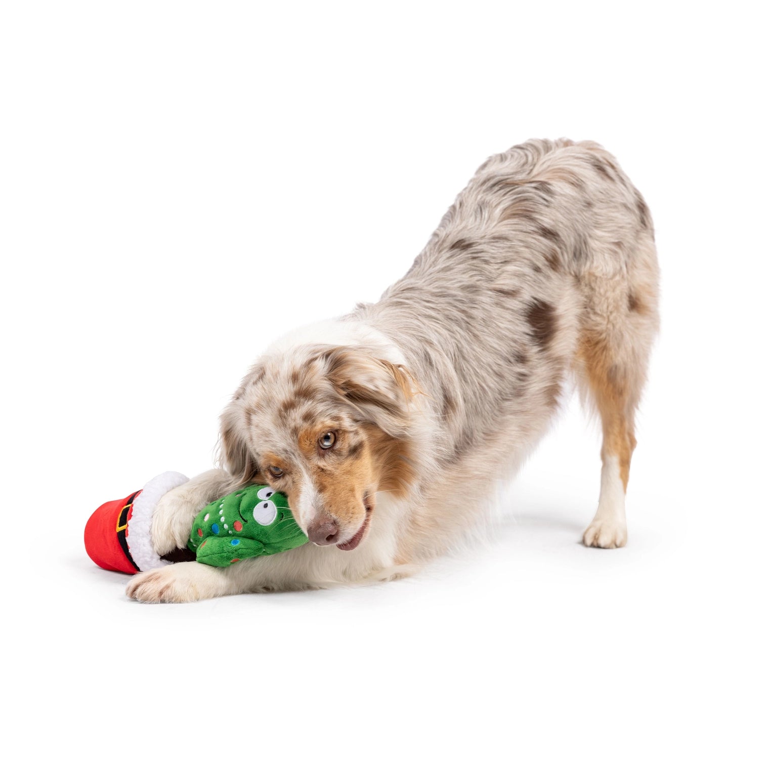 Huxley & Kent - Dog Toy Deek 'N Treat Prickly