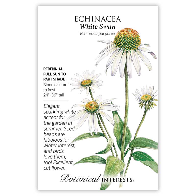 Botanical Interests, Inc. - Echinacea White Swan Seeds