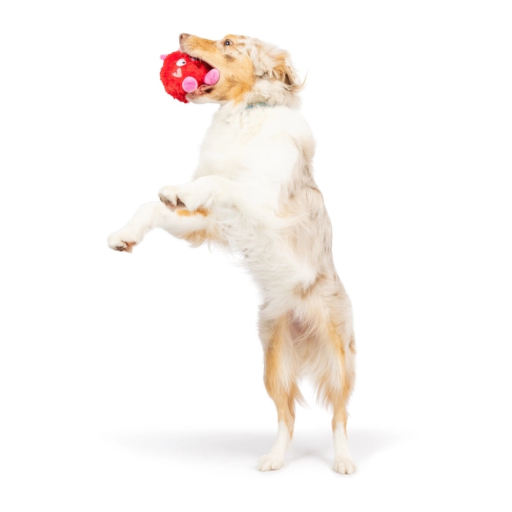 Huxley & Kent - Fur Bug Dog Toy