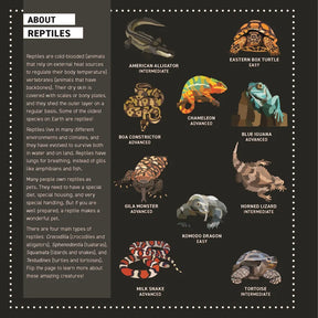 Wellspring- Activity Book - My Sticker Paintings: Reptiles