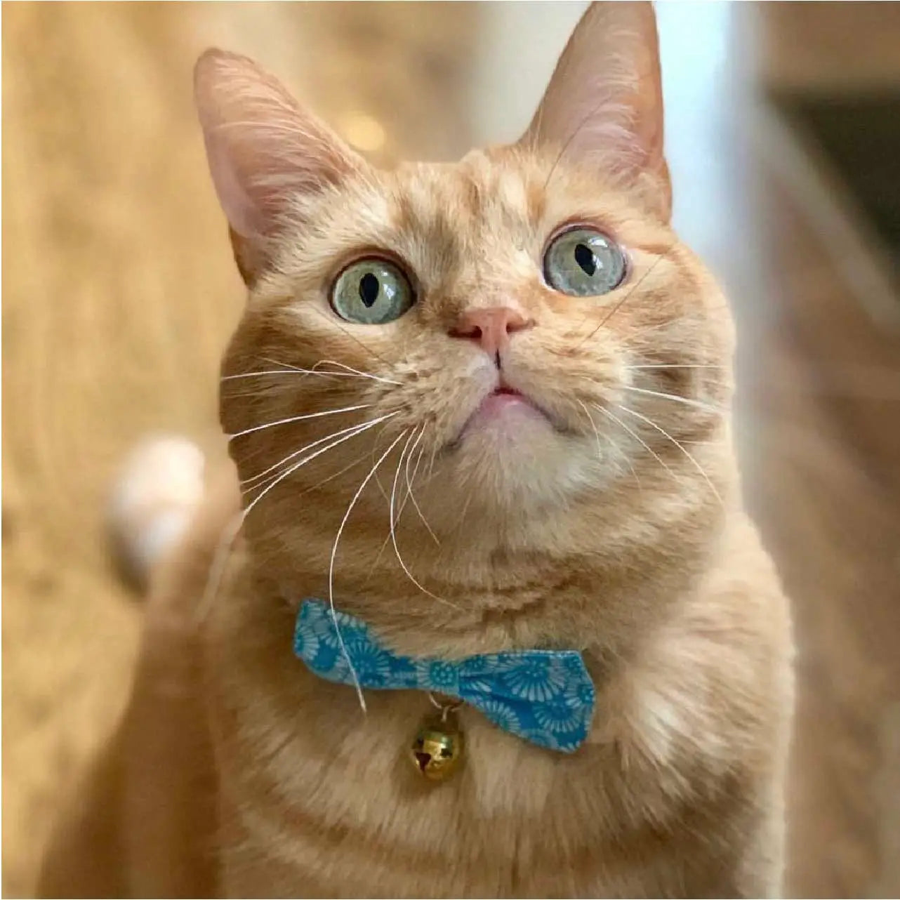 Cat Collar Kiku Ribbon Bow Tie