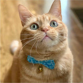 Cat Collar Kiku Ribbon Bow Tie