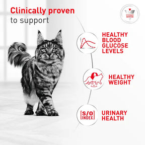 Royal Canin Veterinary Diet - Glycoadvanced Loaf In Sauce Canned Cat Food