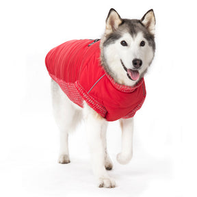 Dogo Pet - Coat Runner Red