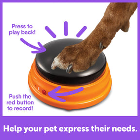 Brightkins - Hunger For Words Talking Pet Starter Set