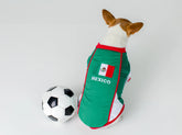 Dog Jersey Team Mexico