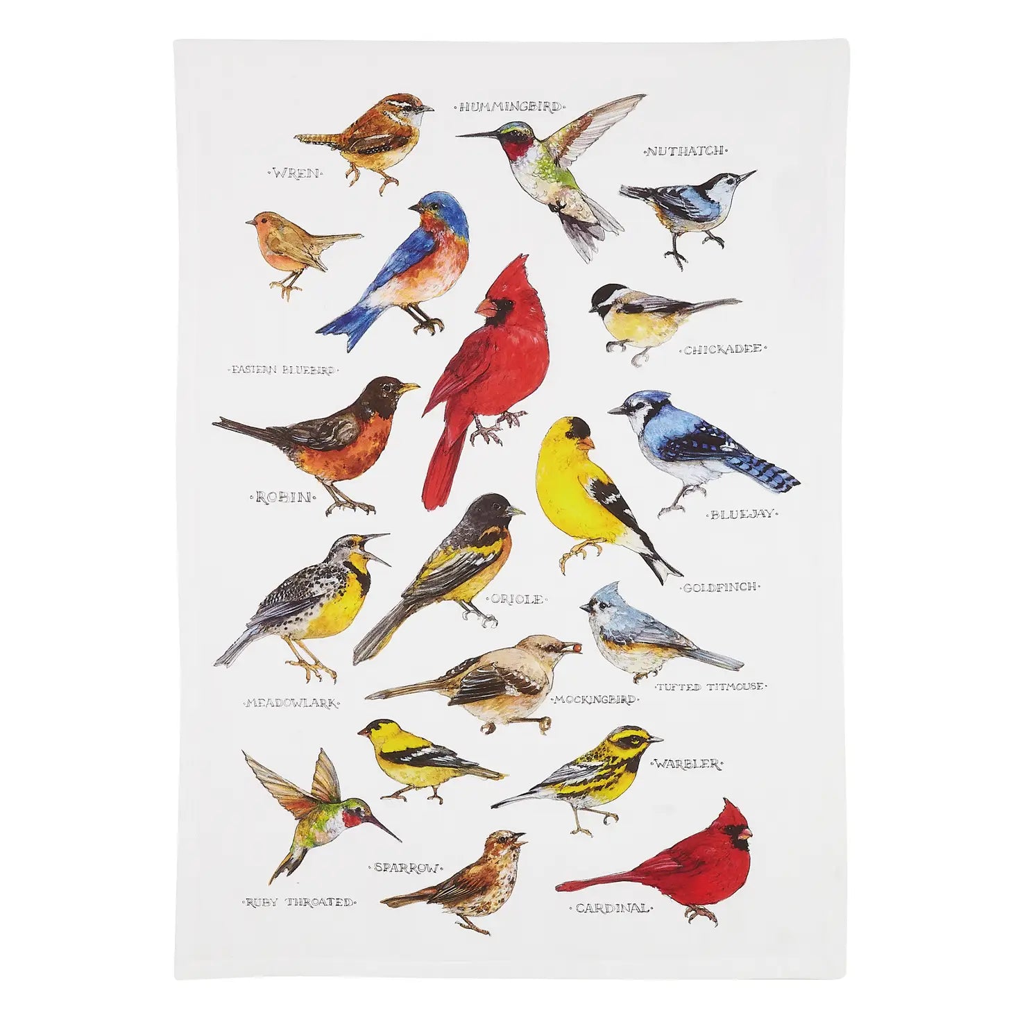 Tea Towel Field Guide Birds