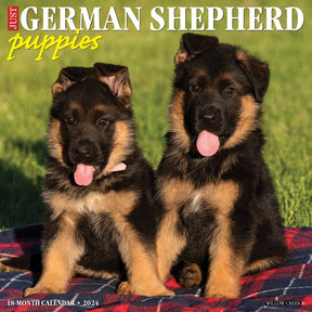 2024 German Shepherd Puppies Calendar