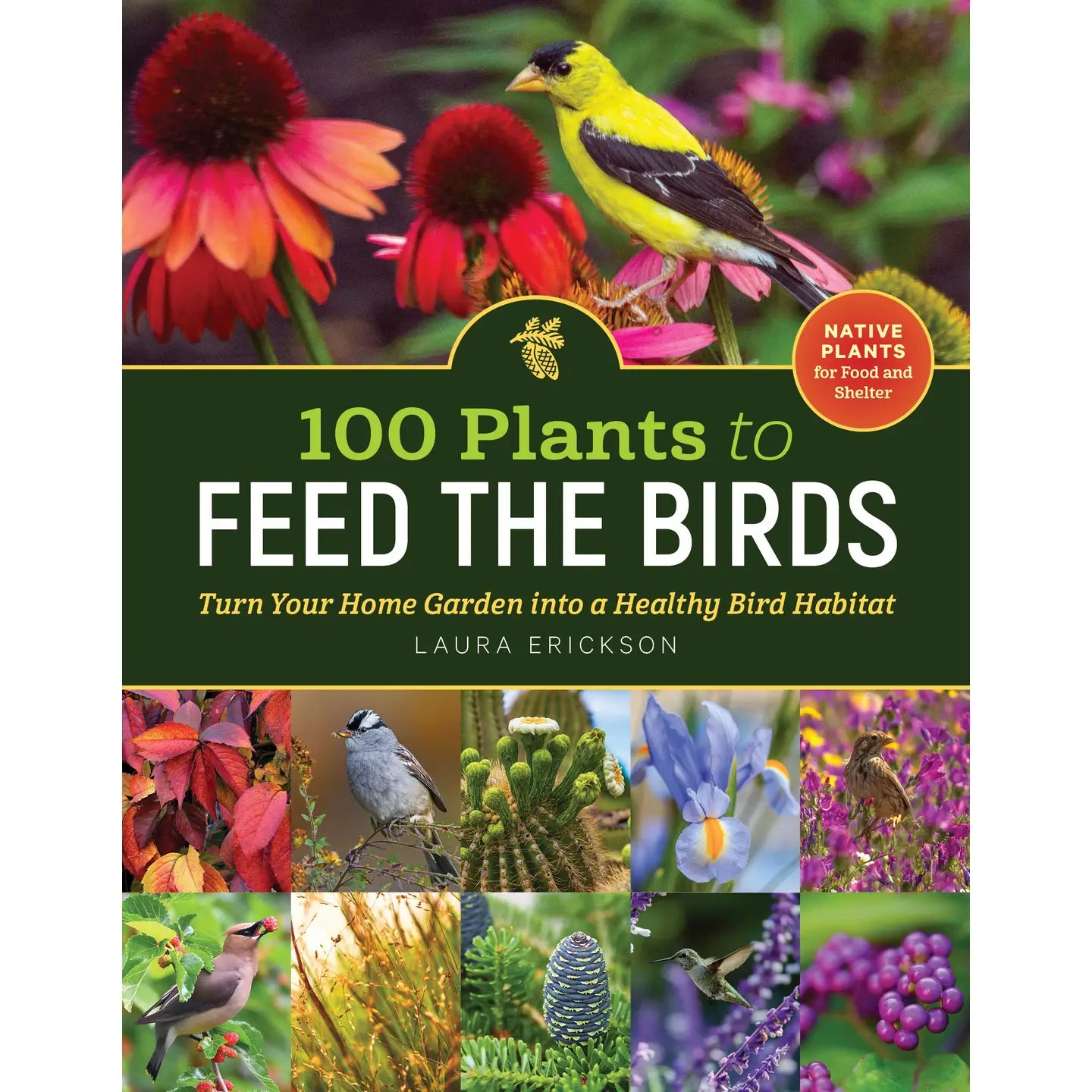 100 Plants To Feed The Birds Paperback Book