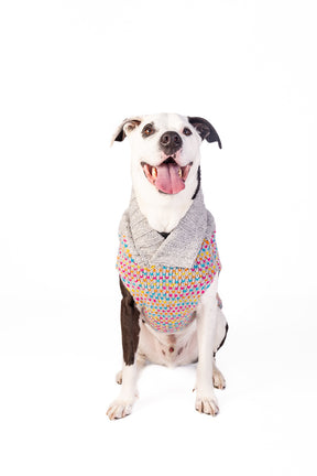 Dog Sweater Sprinkles