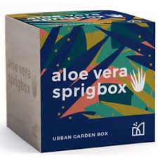 Sprigbox - Aloe Vera