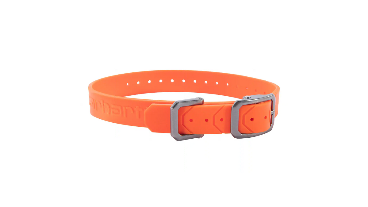 Waterproof Dog Collar Cut To Fit