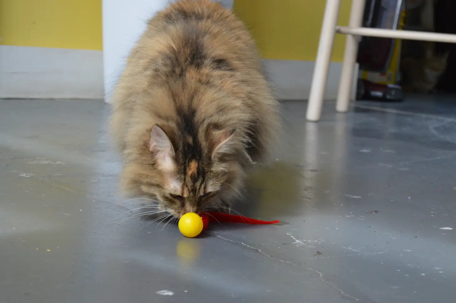 Cat Toy Ball Wiggly Ping