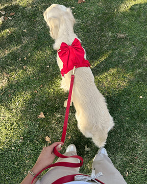 Furry Muse - Leash Wander Multiway