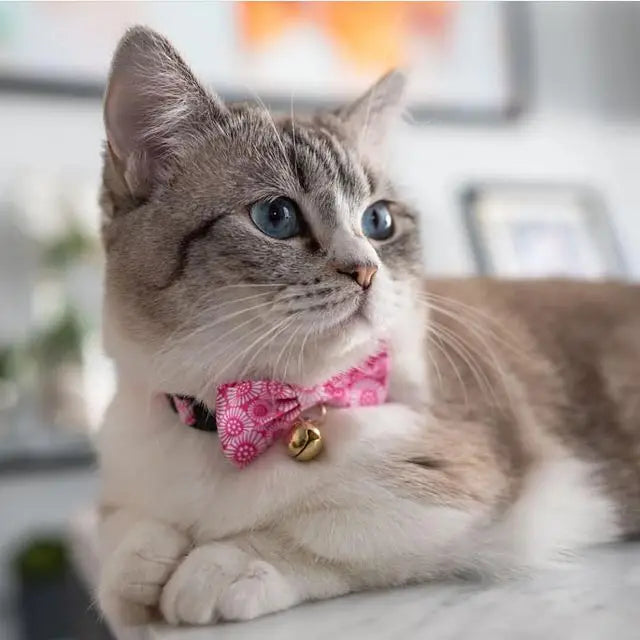 Cat Collar Kiku Ribbon Bow Tie