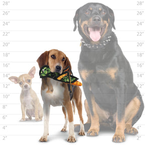 Tuffy Dog Toys - Tuffy Bug Grasshopper