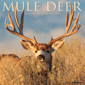 2024 Mule Deer Calendar