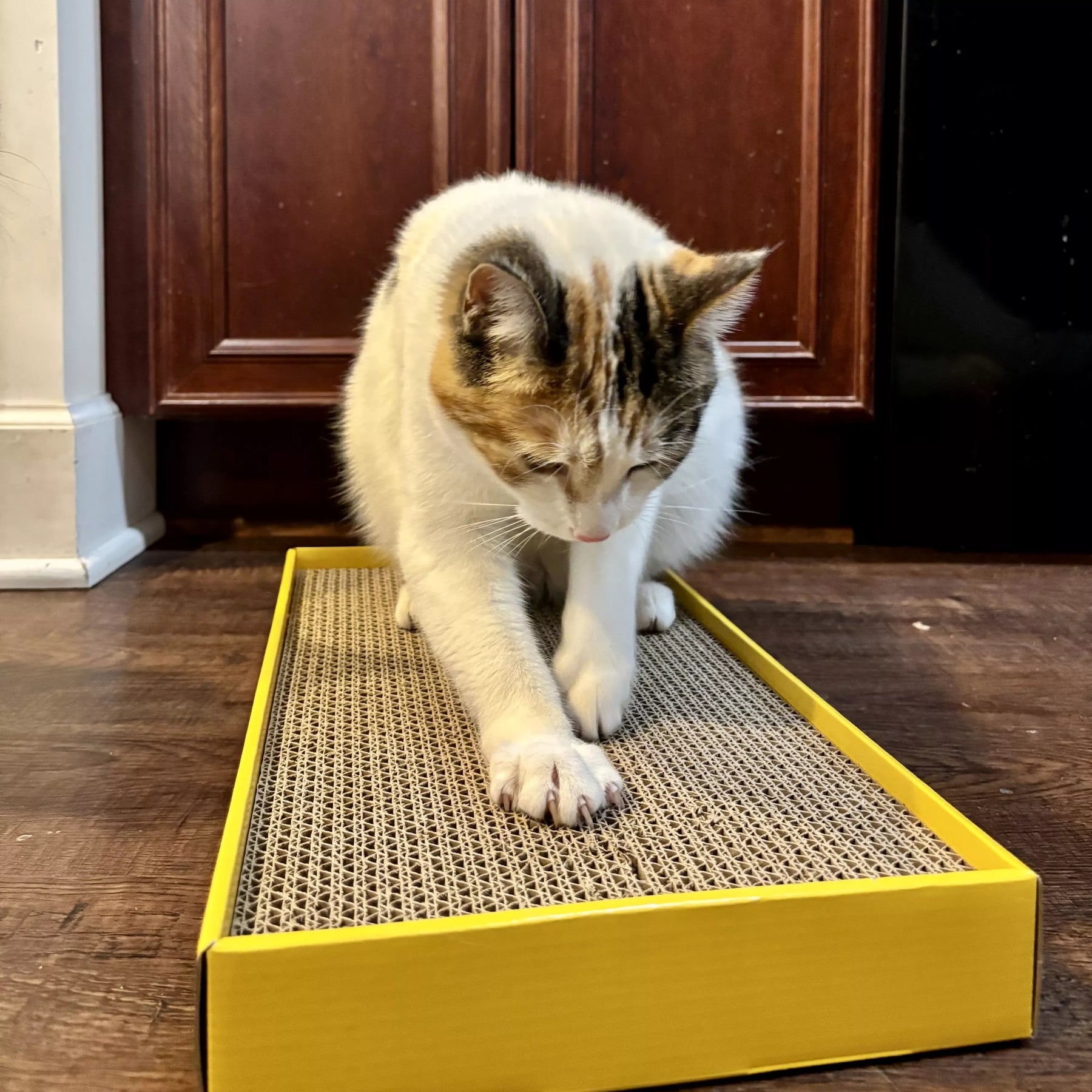 Coastal - Yellow Rectangle Scratcher