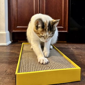 Coastal - Yellow Rectangle Scratcher