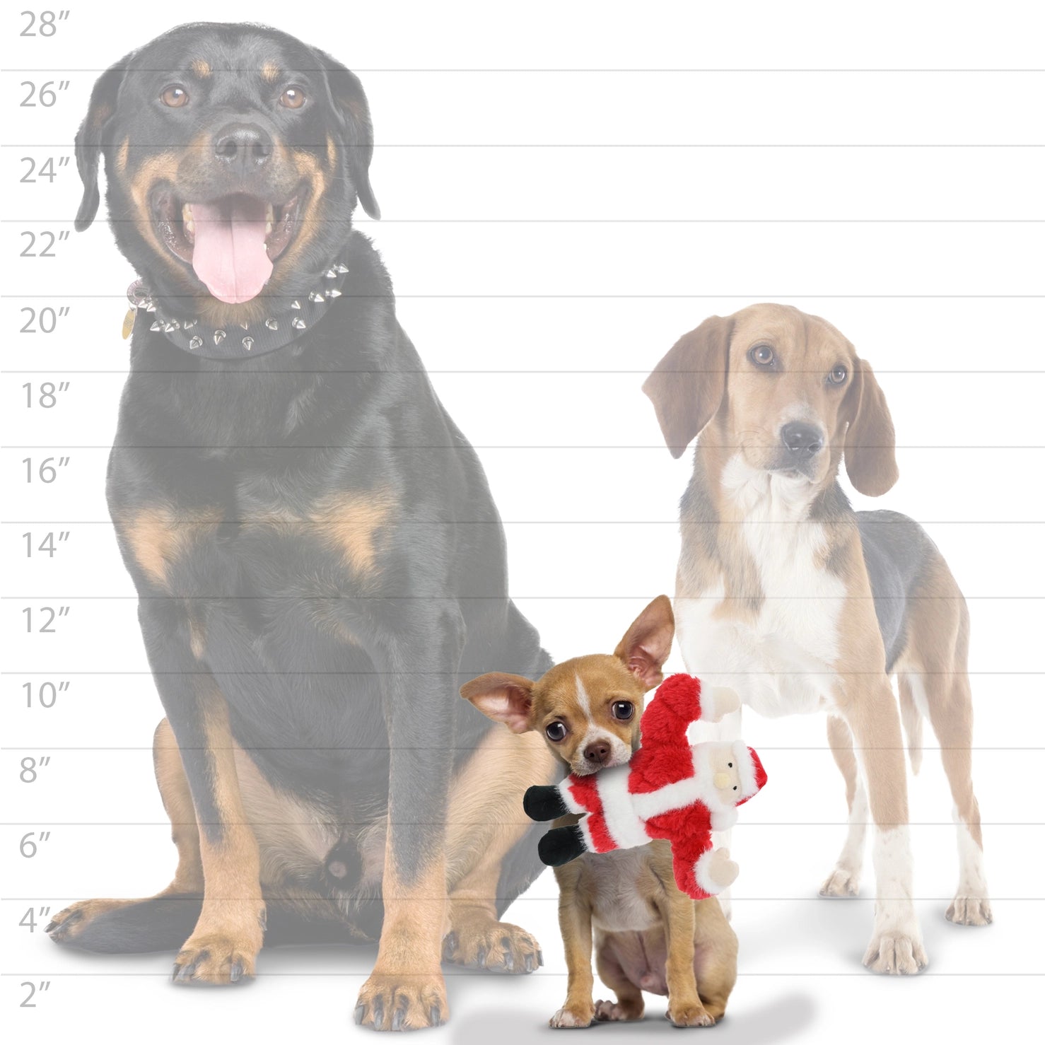 Tuffy Dog Toys - Mighty Jr Holiday Santa