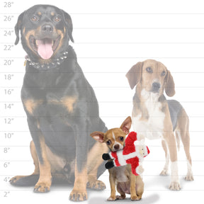 Tuffy Dog Toys - Mighty Jr Holiday Santa