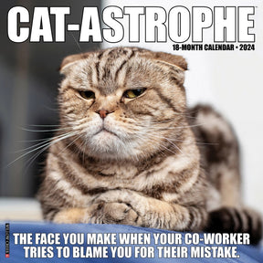 2024 Cat-astrophe Calendar