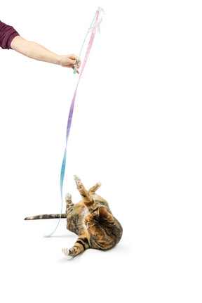 Huxley & Kent - Dance & Lure Pastel Wand Cat Toy