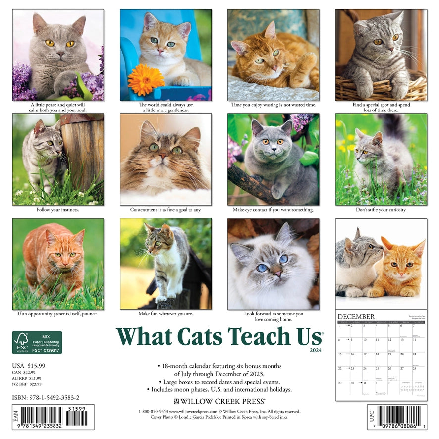 2024 What Cats Teach Us Calendar