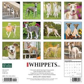 2024 Whippets Calendar