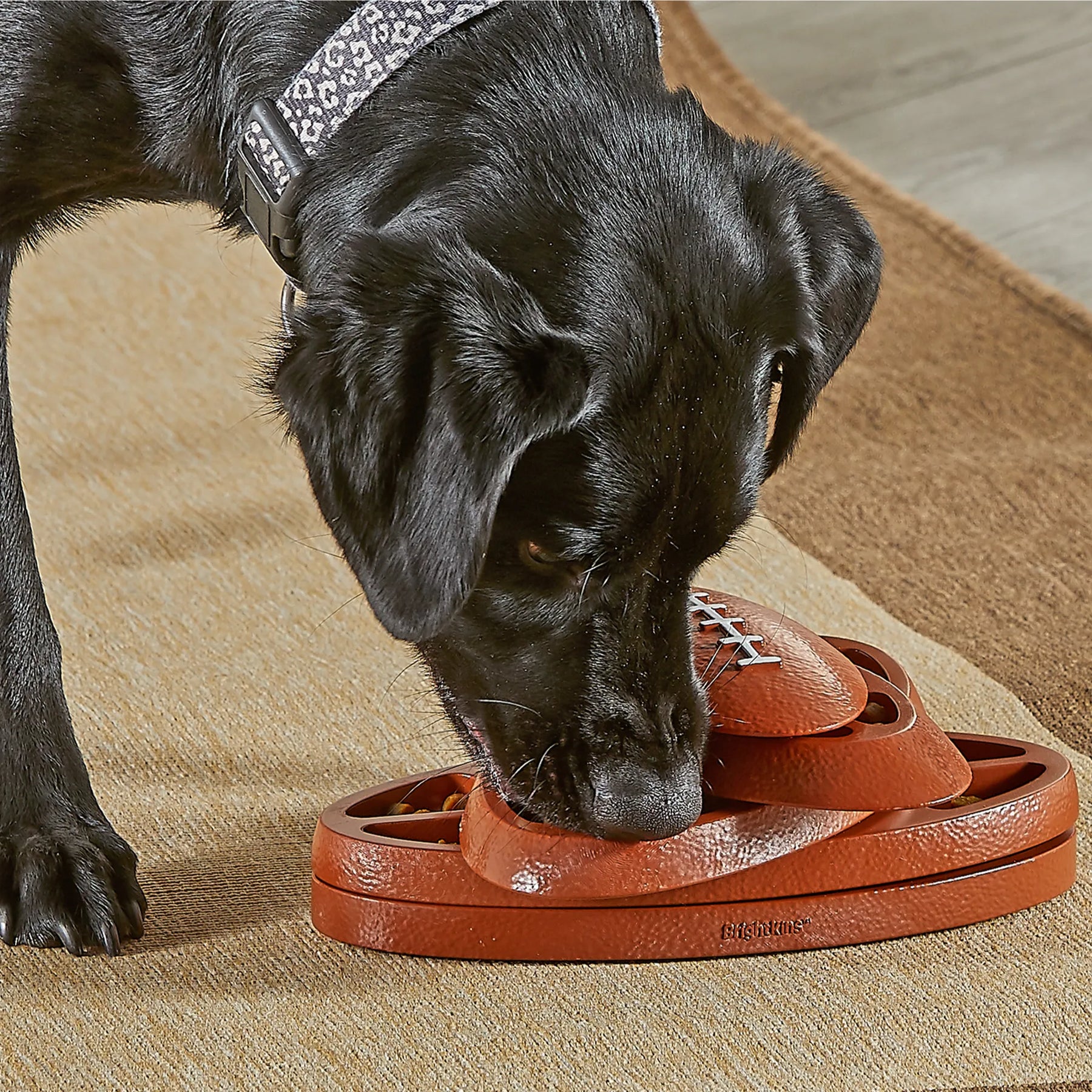 Brightkins - Football Treat Puzzle