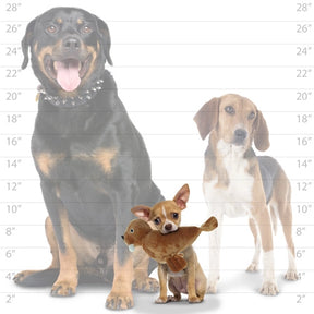 Tuffy Dog Toys - Mighty Arctic Jr Walrus