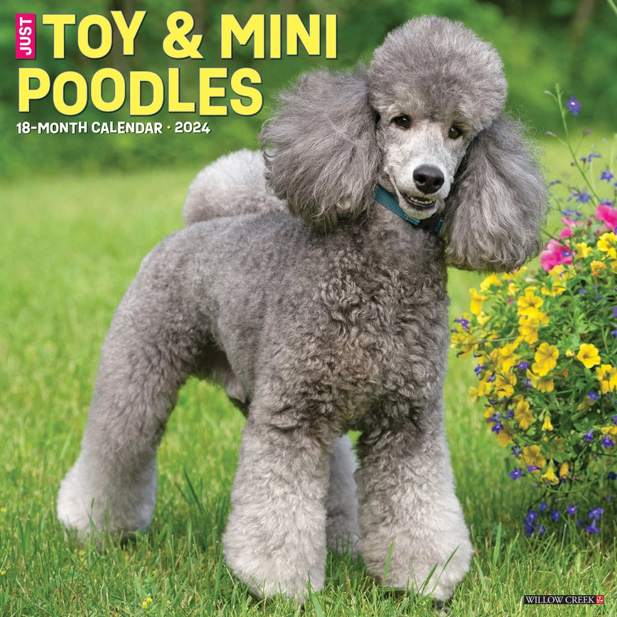 2024 Poodles Toy & Miniature Calendar