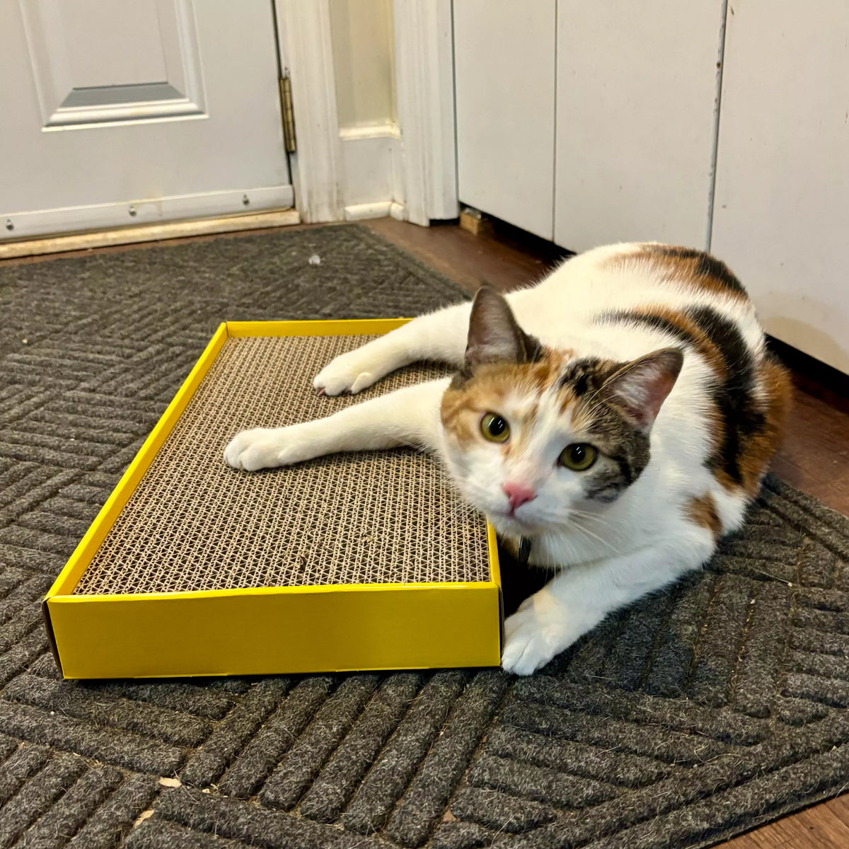 Coastal - Yellow Rectangle Scratcher