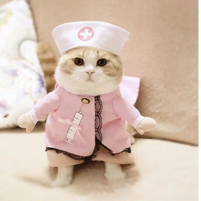 PawPaw Wholesale - Halloween Costume Nurse